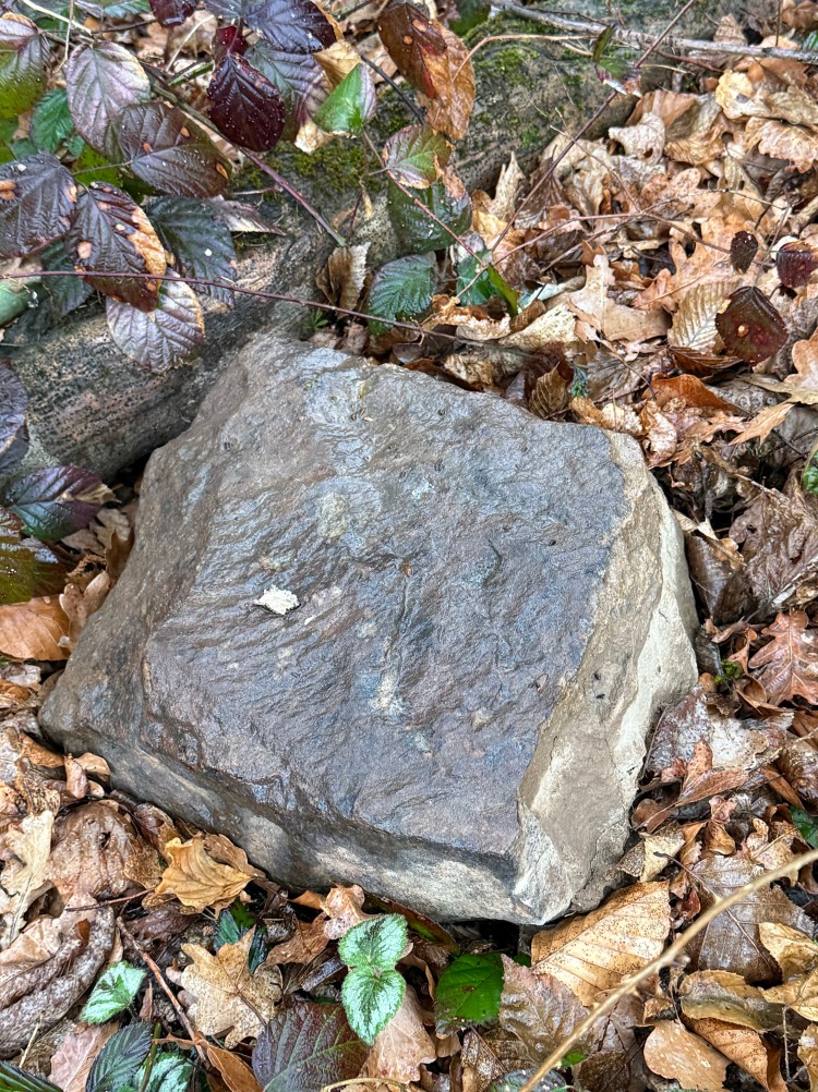 Römer Rielingshausen Kleinaspach Backnang Murr Funde Geschichte Steinäcker Vergangenheit Steine sichtbar