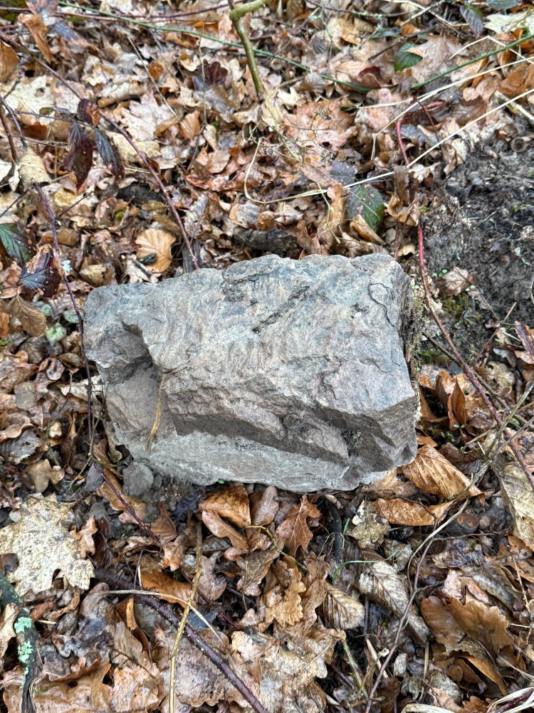 Römer Rielingshausen Kleinaspach Backnang Murr Funde Geschichte Steinäcker Vergangenheit Steine sichtbar