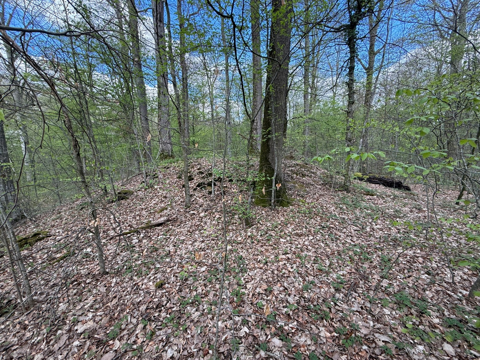 Grabhügel Germanen Kelten Merowinger Forsthof Hotel Grab Vergangenheit