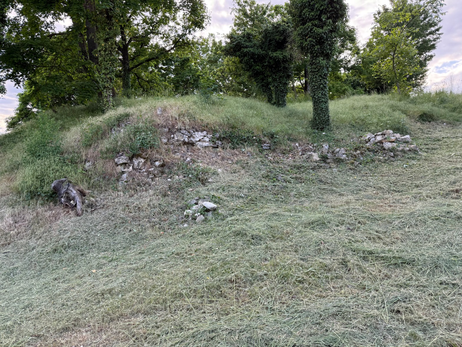 Burgmauer Burg Steinheim
