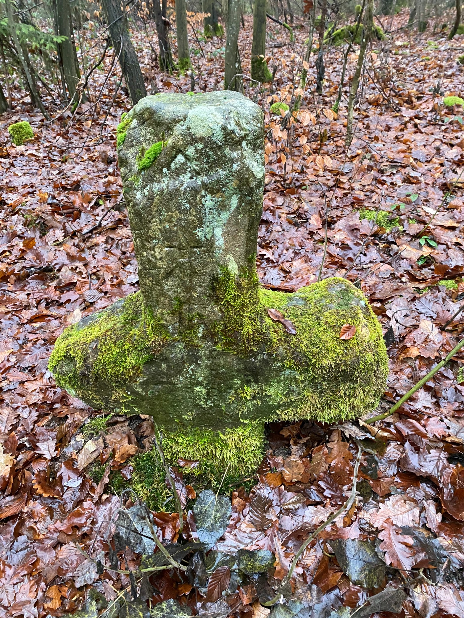 Sühnekreuz Backnang Plattenwald Mord