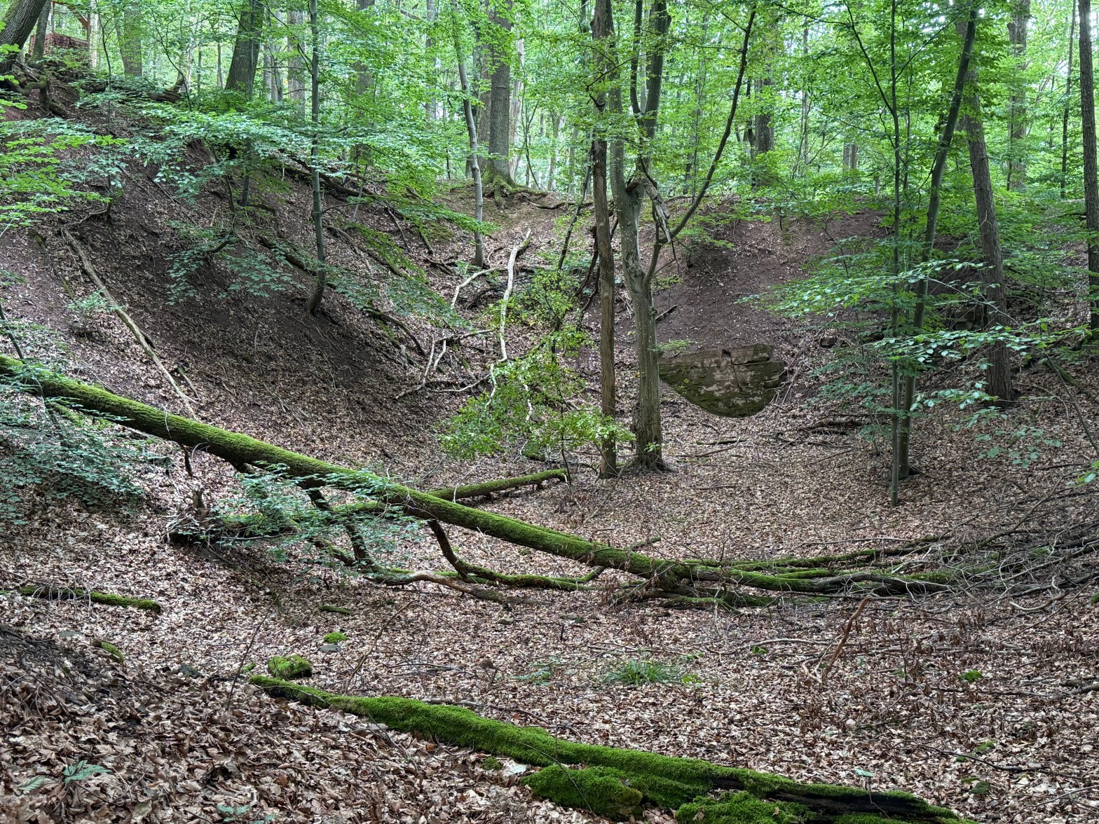 römischer Steinbruch Rielingshausen Marbach
